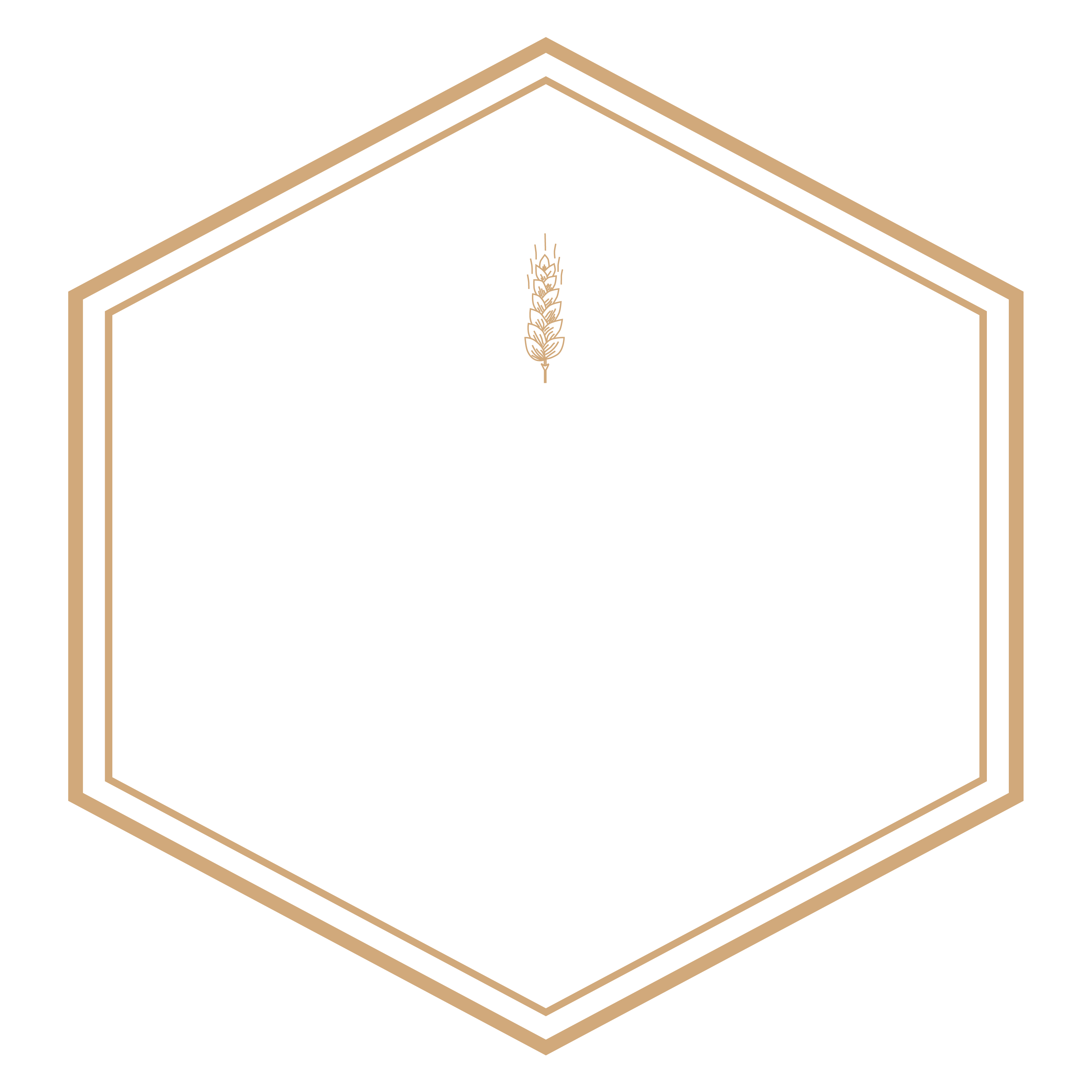 Cervejaria Steak
